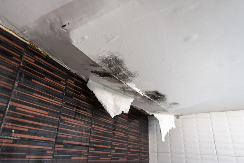 Attic Water Damage Repair in Charleston, SC