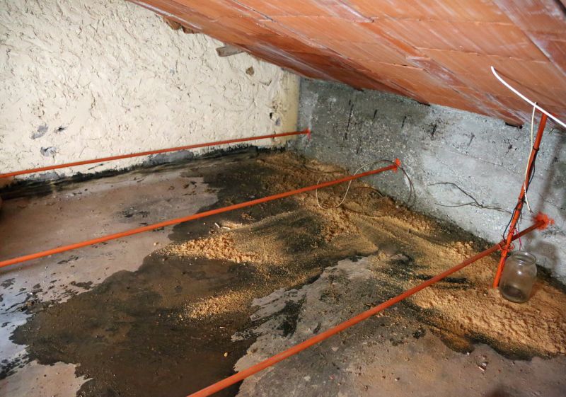 Crawl Space Remediation in Denver County, CO
